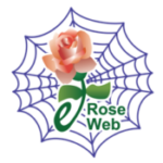 Marketing and Web Design by eRose Web